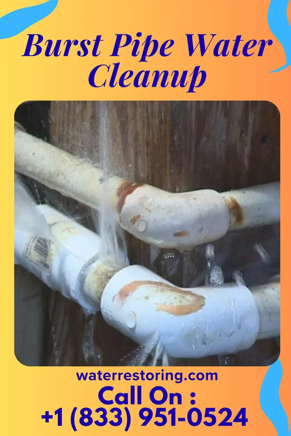 Burst Pipe Water Cleanup in Kentwood, LA