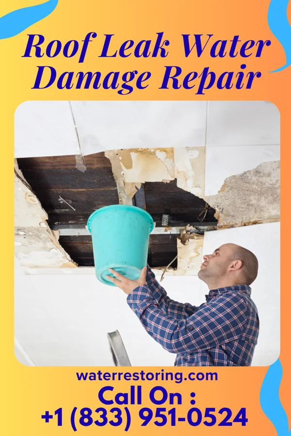 Roof Leak Water Damage Repair in Kentwood, LA