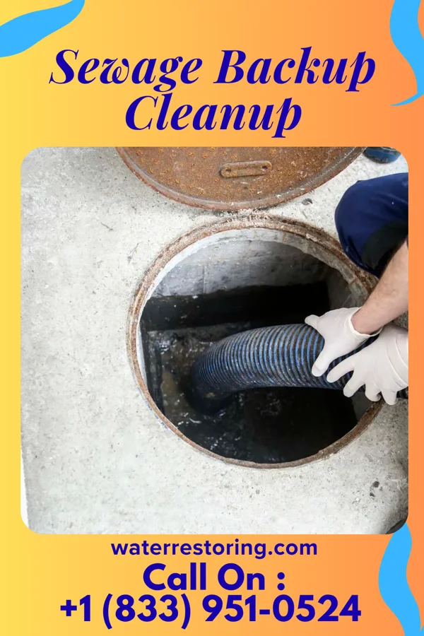 Sewage Backup Cleanup in Kentwood, LA