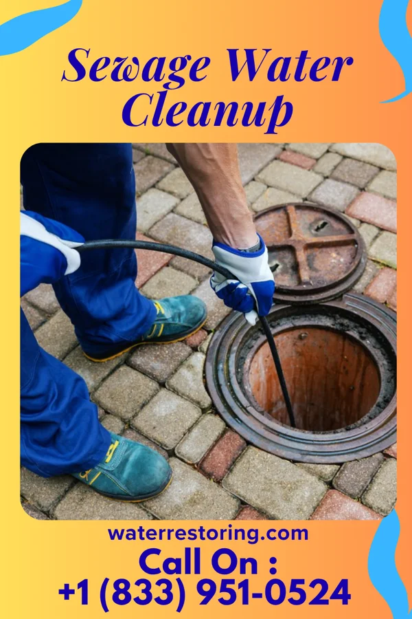 Sewage Water Cleanup in Kentwood, LA