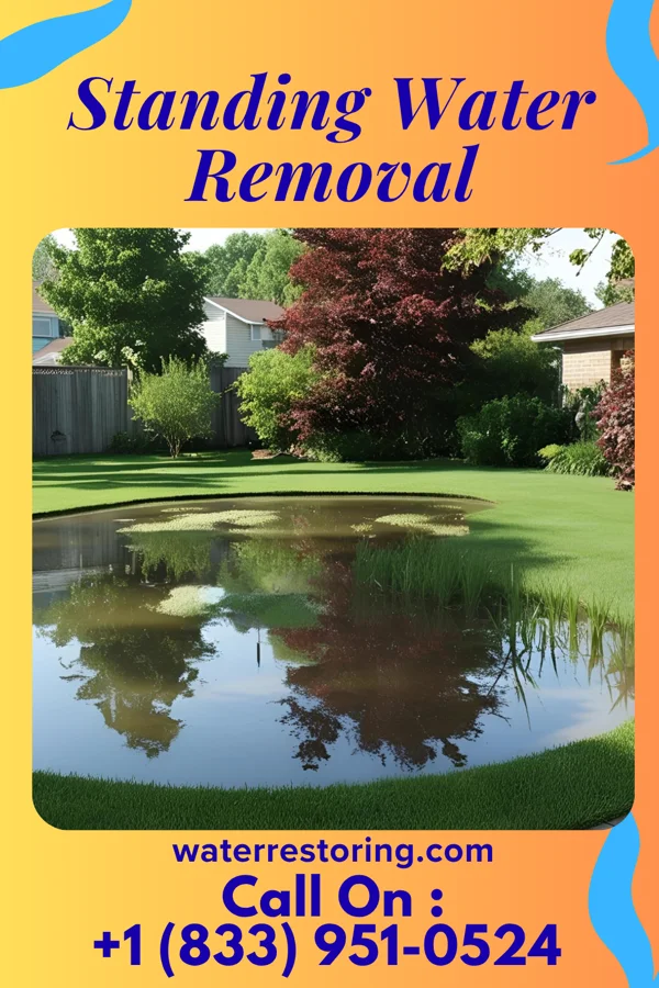 Standing Water Removal in Kentwood, LA